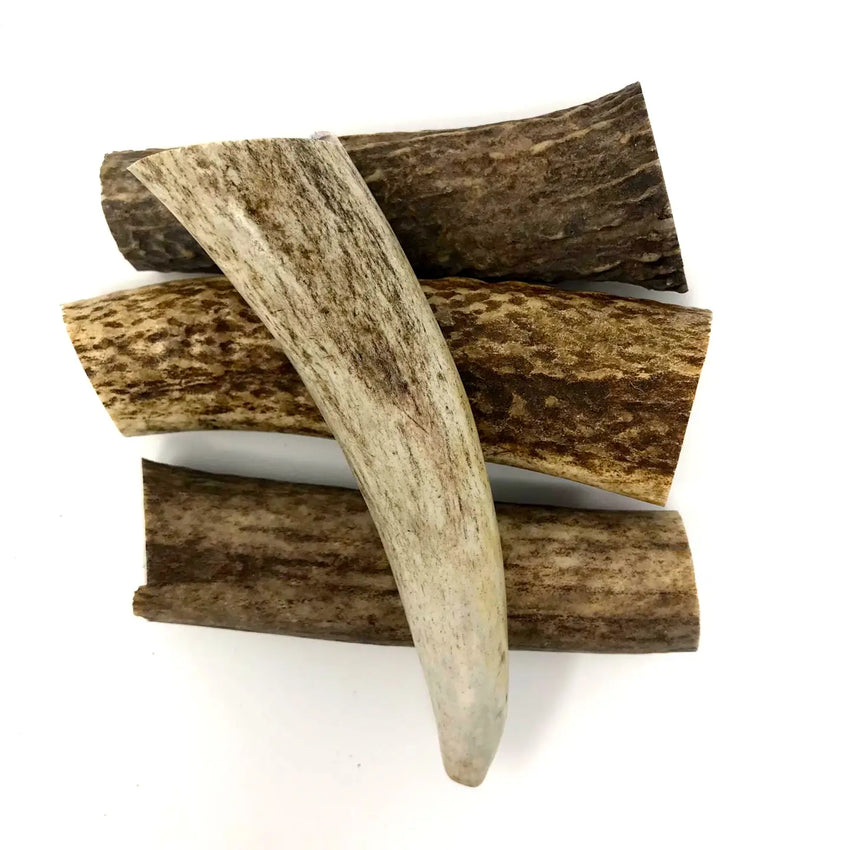 Natural Elk Antler