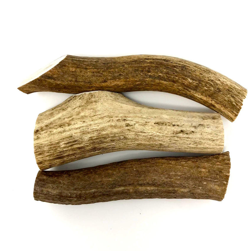 Natural Elk Antler