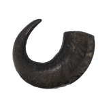 Premium Water Buffalo Horns