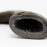 Premium Water Buffalo Horns