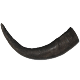 Premium Water Buffalo Horns