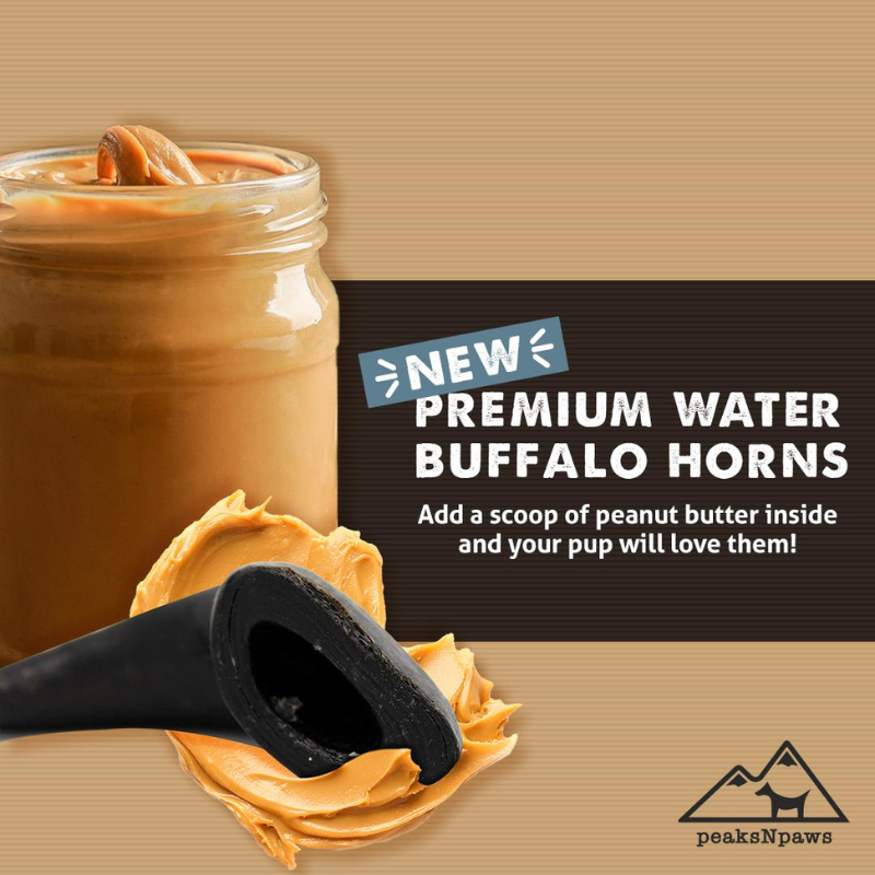 Premium Water Buffalo Horns