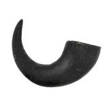 Premium Water Buffalo Horns