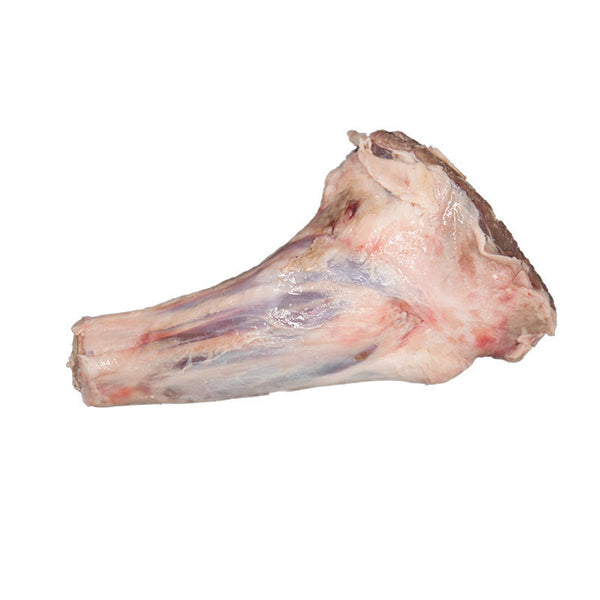 Are dogs allowed shop lamb shank bones